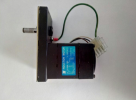 220V Servo vertragingsmotor 20RPM