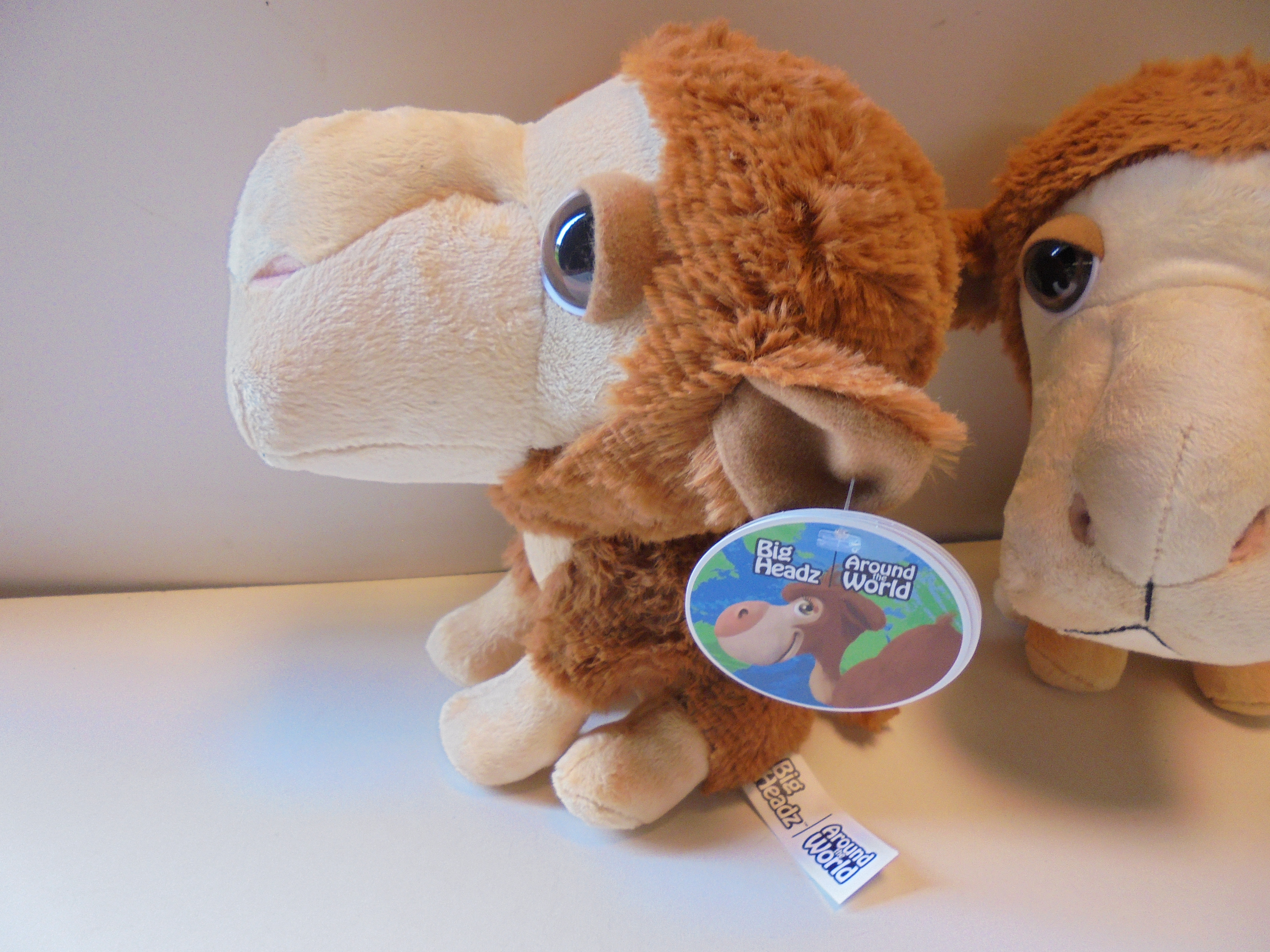 pluche Big Headz Kameel 22 cm prijs per stuk