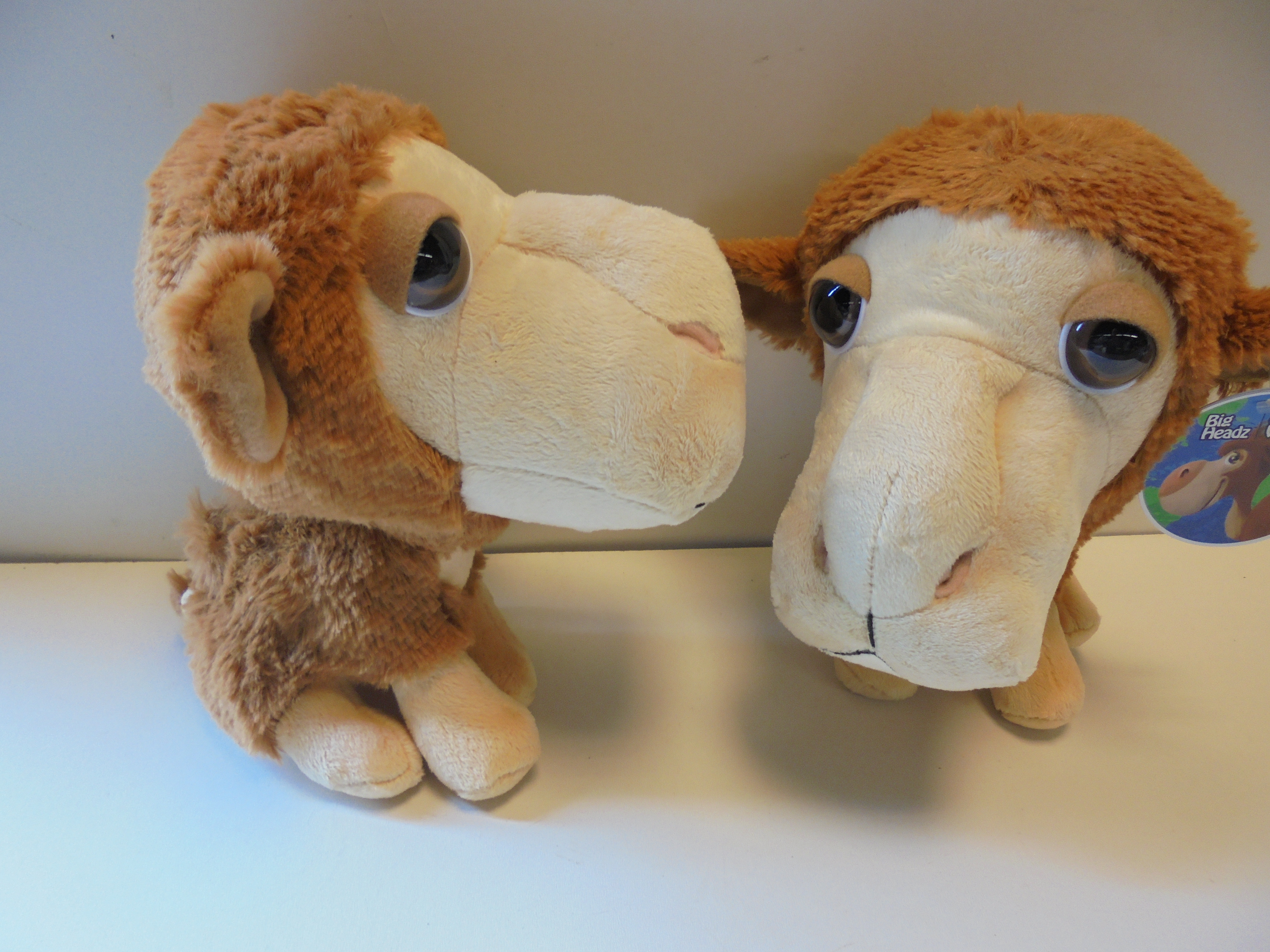 pluche Big Headz Kameel 22 cm prijs per stuk