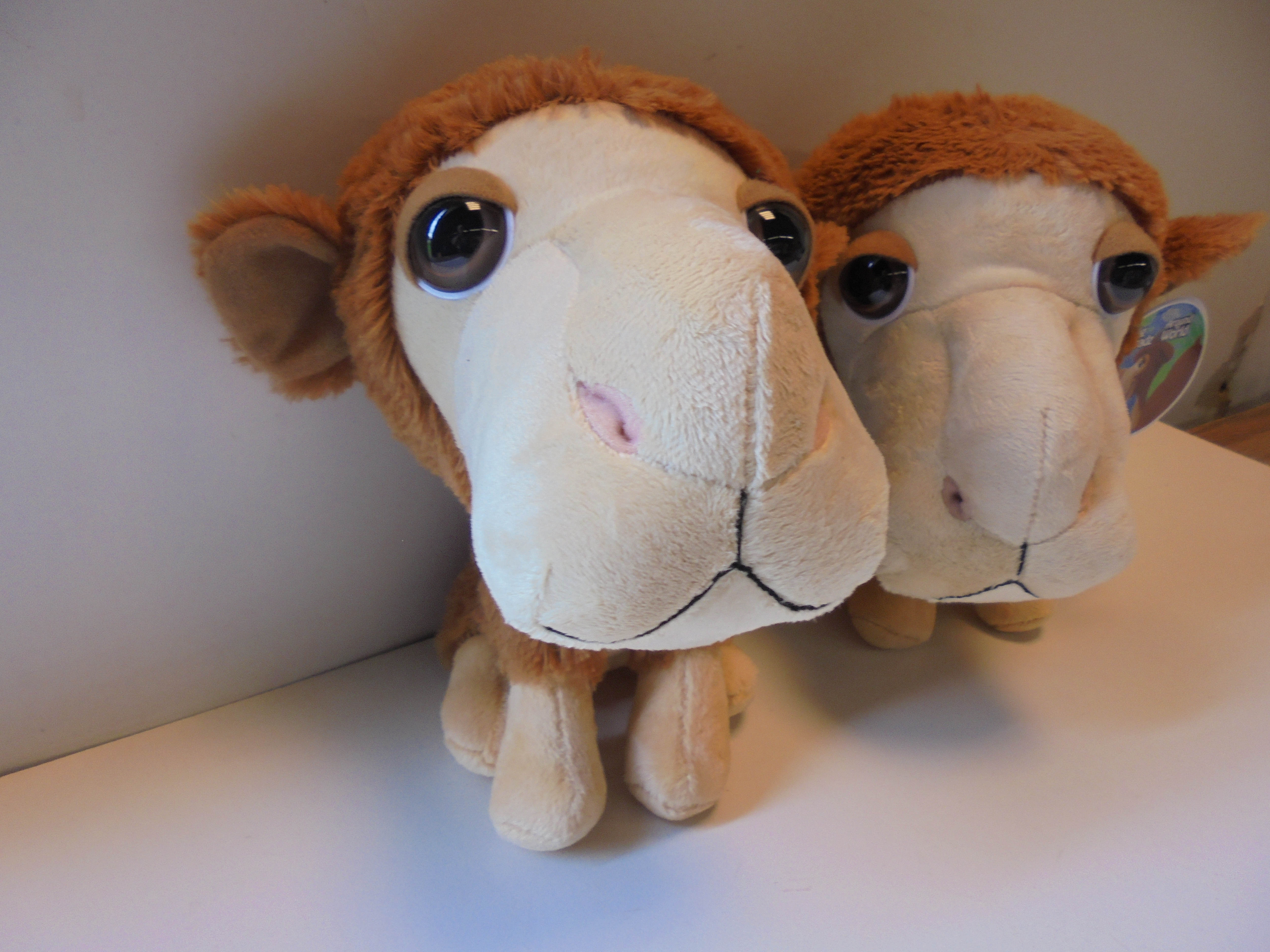 pluche Big Headz Kameel 22 cm prijs per stuk
