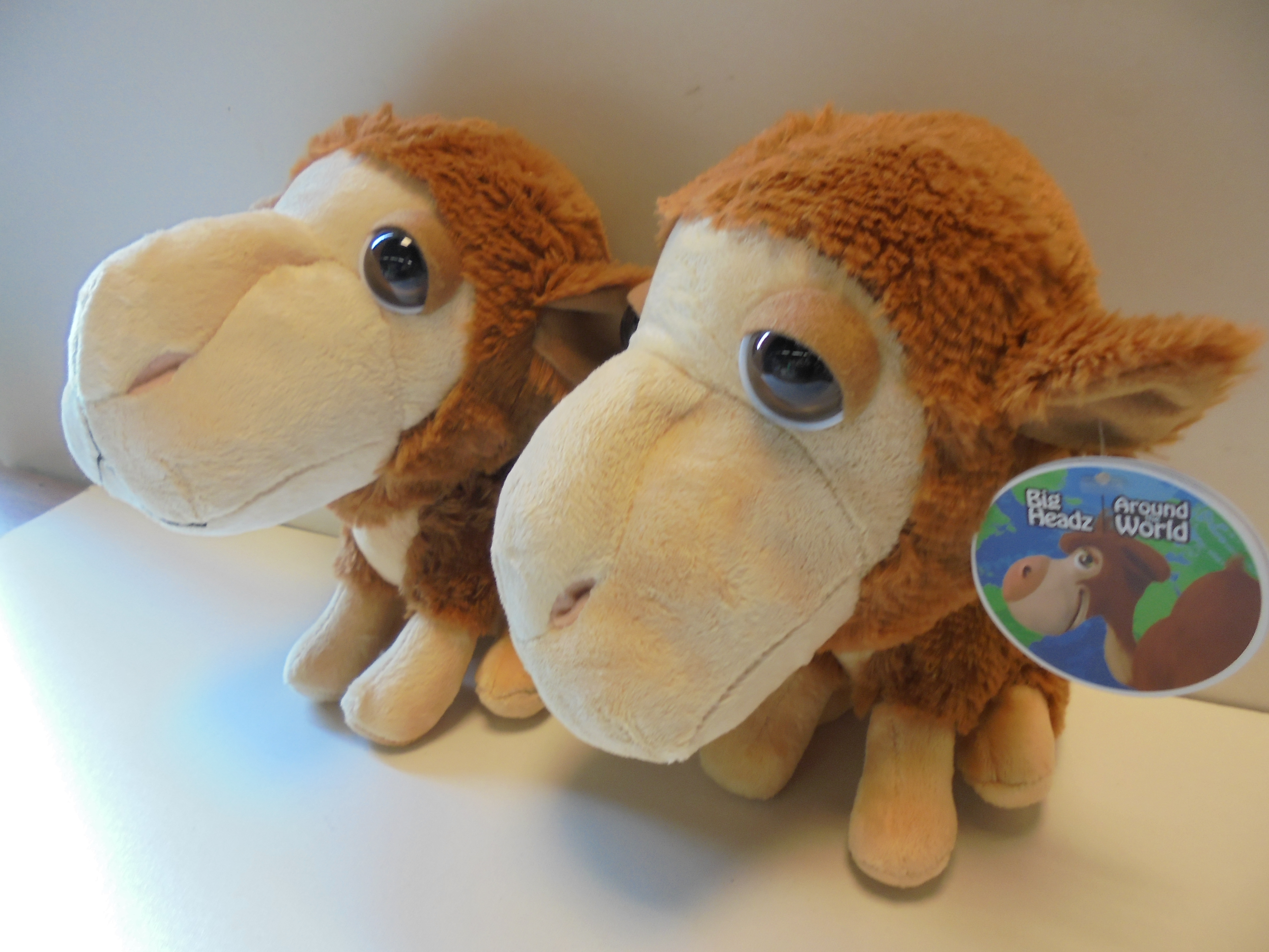 pluche Big Headz Kameel 22 cm prijs per stuk