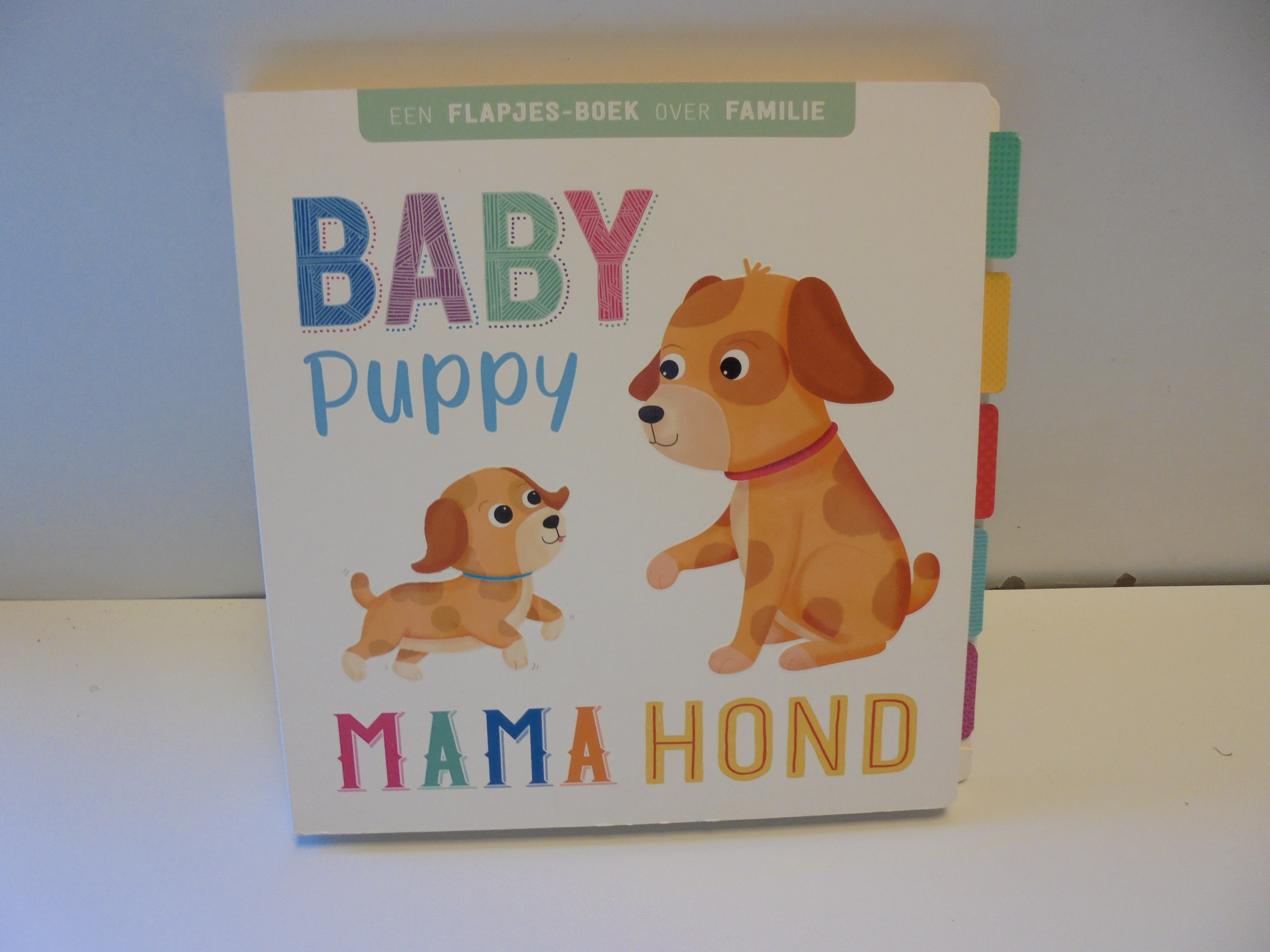 leer boek Baby afm 21x21 cm prijs per stuk