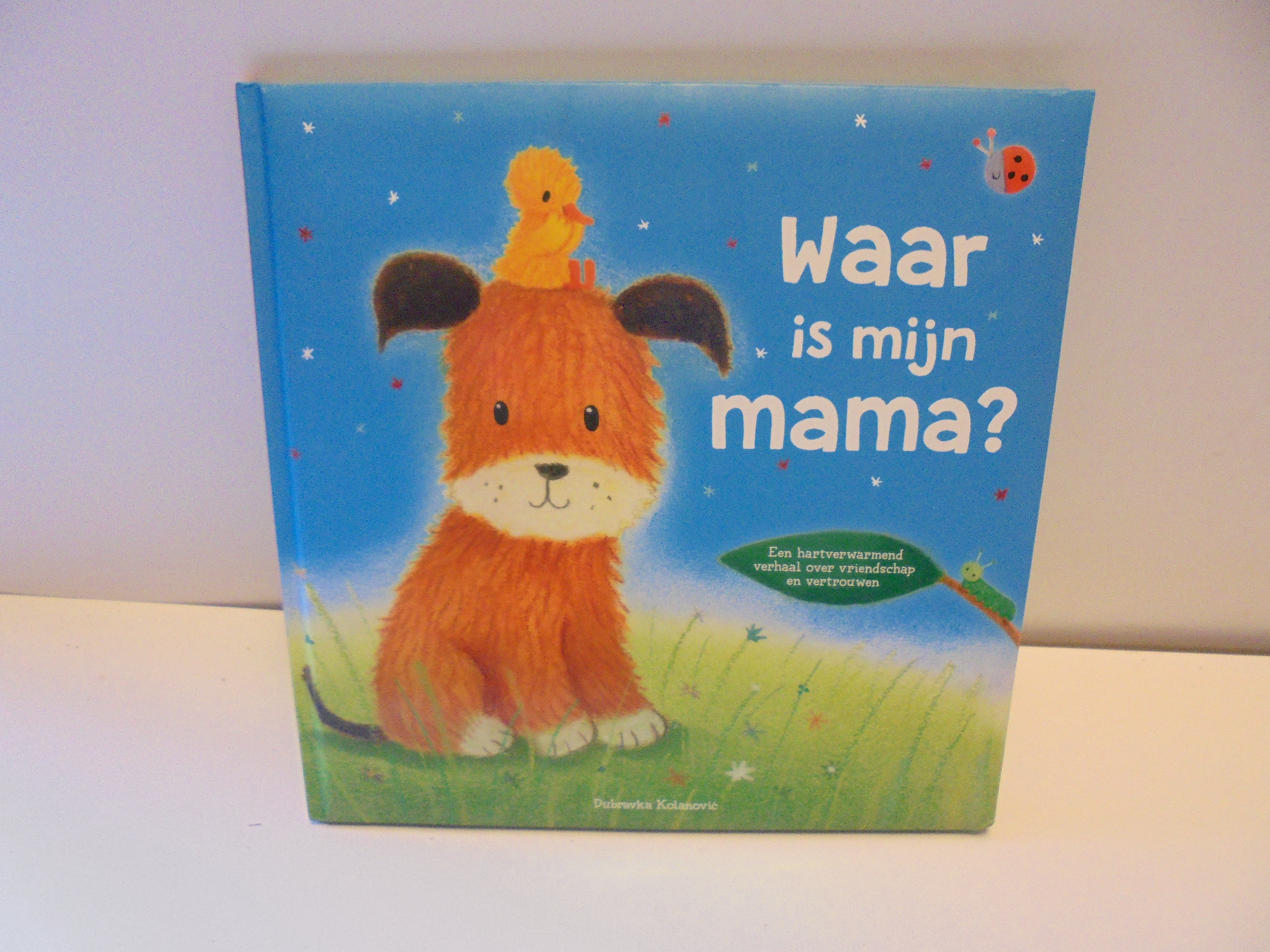 Voorlees boek Mama afm 26x26 cm prijs per stuk
