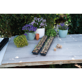 SOGO Zaai en stek tray met biologisch afbreekbare plugs