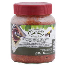 Bird Food Vogel bosvruchten pindakaas pot