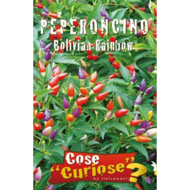 Hete Peper Bolivian Rainbow