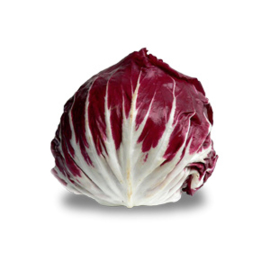 Radicchio Rossa di Chioggia 3