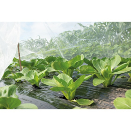 SOGO Insectengaas 2,1x4,5mtr 