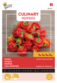 Buzzy Culinary Peppers Scotch Bonnet Red