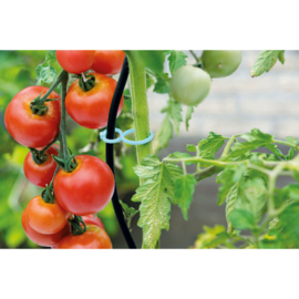 SOGO Tomato Clips (15x)