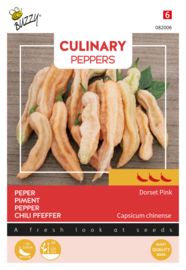 Buzzy Culinary Peppers Dorset Pink