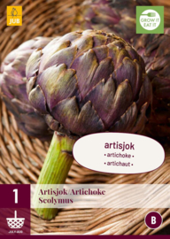 CYNARA SCOLYMUS ARTISJOK - Reserveer nu