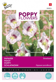 Papaver Blauwmaanzaad