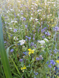 Bijen mix