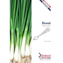 Holland Mill Bosui White Lisbon