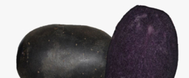 Pootaardappel Bleuet 250gr - verwacht week 7