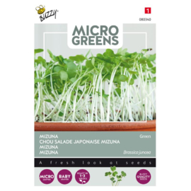 Microgreens Mizuna Green