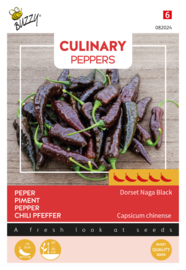 Buzzy Culinary Peppers Dorset Naga Black
