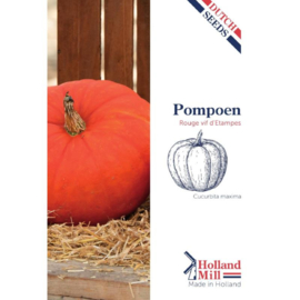 Holland Mill Pompoenen Rode van Etampes