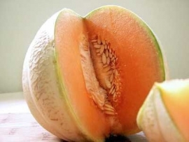 Meloen