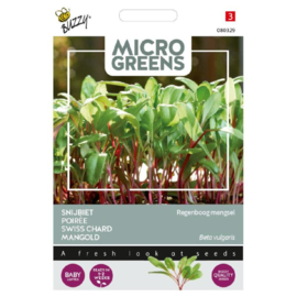 Microgreens Snijbiet Rainbow Mix