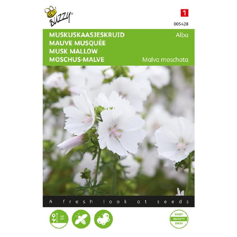 Muskus Kaasjeskruid Alba