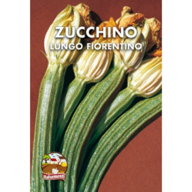 Courgette Lungo Fiorentino