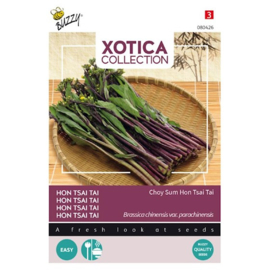 Xotica Purple Choy Sum Hon Tsai Tai