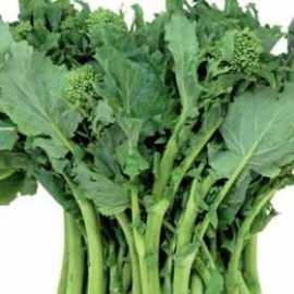 Broccoletto Cima di Rapa Sessantina