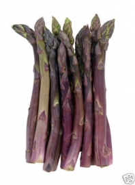 Asperge Precoce d`Argentuil