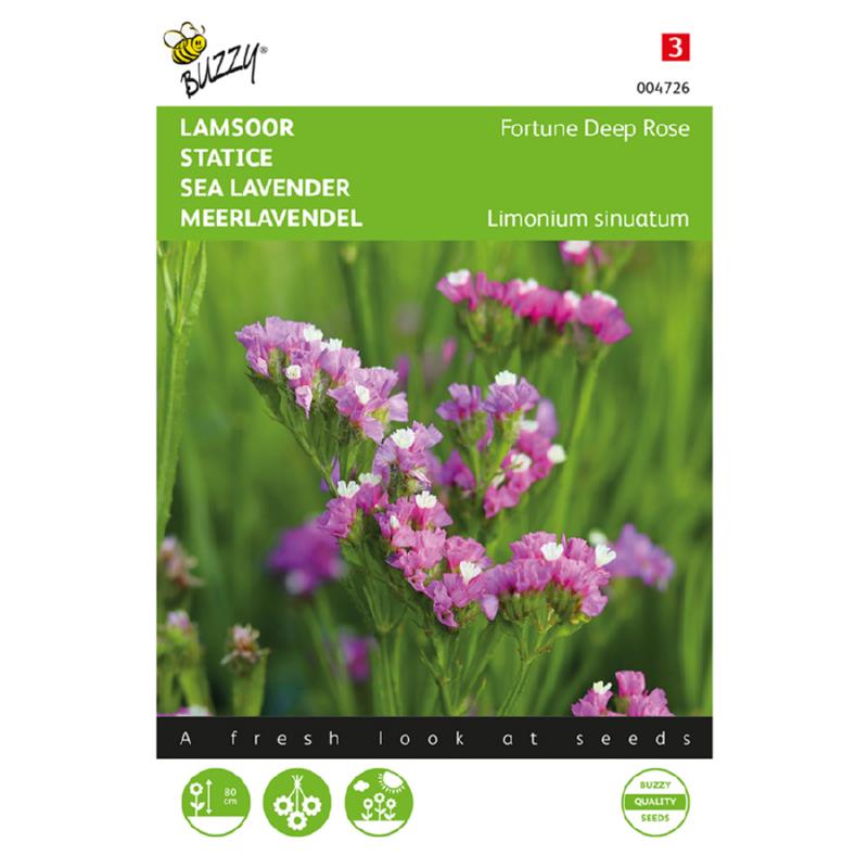 Lamsoor Fortune Deep Rose