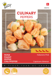 Buzzy Culinary Peppers Habanero Pink