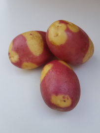 Pootaardappel Nemo 250gr - verwacht week 7