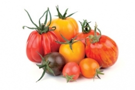 Logo-zakjes met groente-, fruit- of kruiden zaden