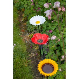 Bird Gift feeder stake sunflower