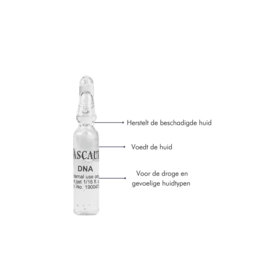 Pascaud DNA Ampullen 10 stuks
