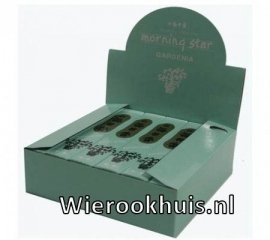 Morning Star Wierook - Gardenia - 50 stokjes