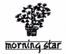 Morning Star Wierook - Patchouli - 50 stokjes