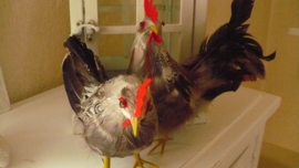 haan en hen verkocht