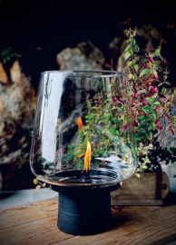 Tenderflame Amaryllis 25 Tafelvuur - zwart