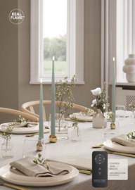 2 stuks Deluxe Homeart LED Glanzende Dinerkaars met Real Flame - vele kleuren