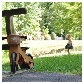 Kinderfeets houten loopfiets - 4 kleuren