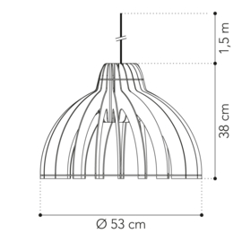 Tjalle en Jasper Granny Smith hanglamp Black