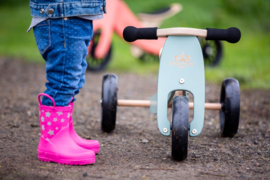 Kinderfeets houten driewieler - 6 kleuren