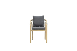 Santos dining fauteuil grijs