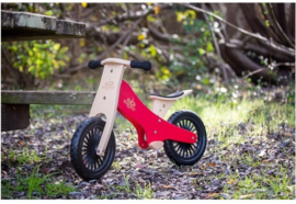 Kinderfeets houten loopfiets - 4 kleuren