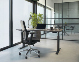 Bureaustoel FlexiWork zwart