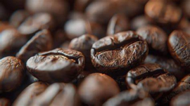 Vette Koffiebonen