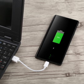 USB C oplader en Data USB Kabel voor iPhone  Serie    10cm.  Wit