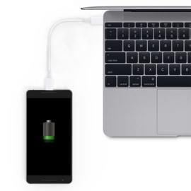 USB C  - USB C Oplader en Data Kabel voor Samsung Galaxy  Serie    10cm.  Wit